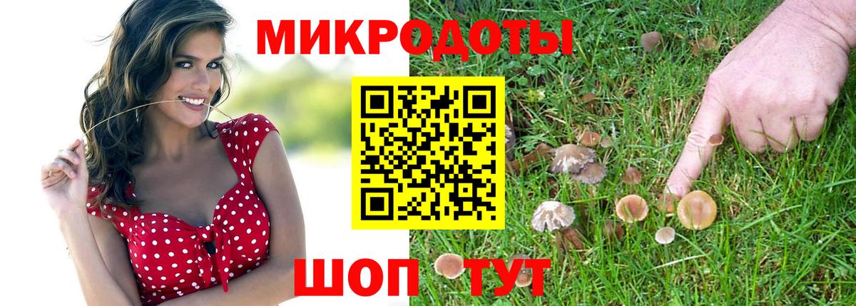 Псилоцибиновые грибы MAGIC MUSHROOMS  Вход с VPN  Южноуральск  Галлюциногенные грибы Magic Shrooms 